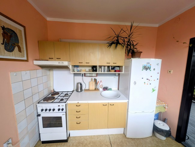 Dr. byt 2+1, 52 m2, ve Velkých Hamrech - 